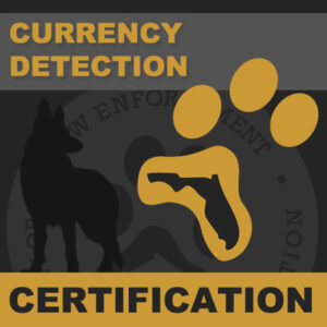 Currency Detection <br />Certification
